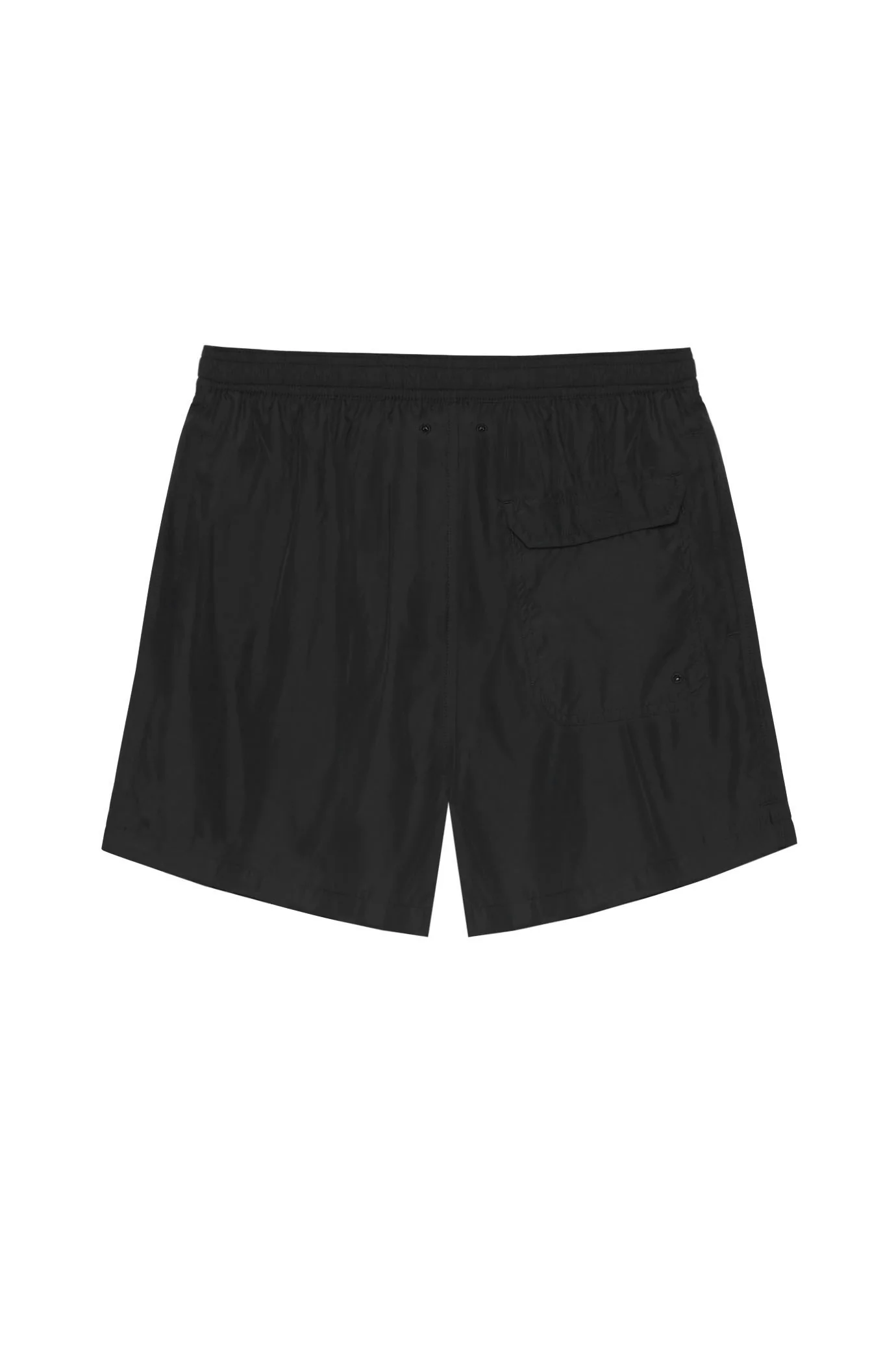 Boxer mare SJ - Image 10
