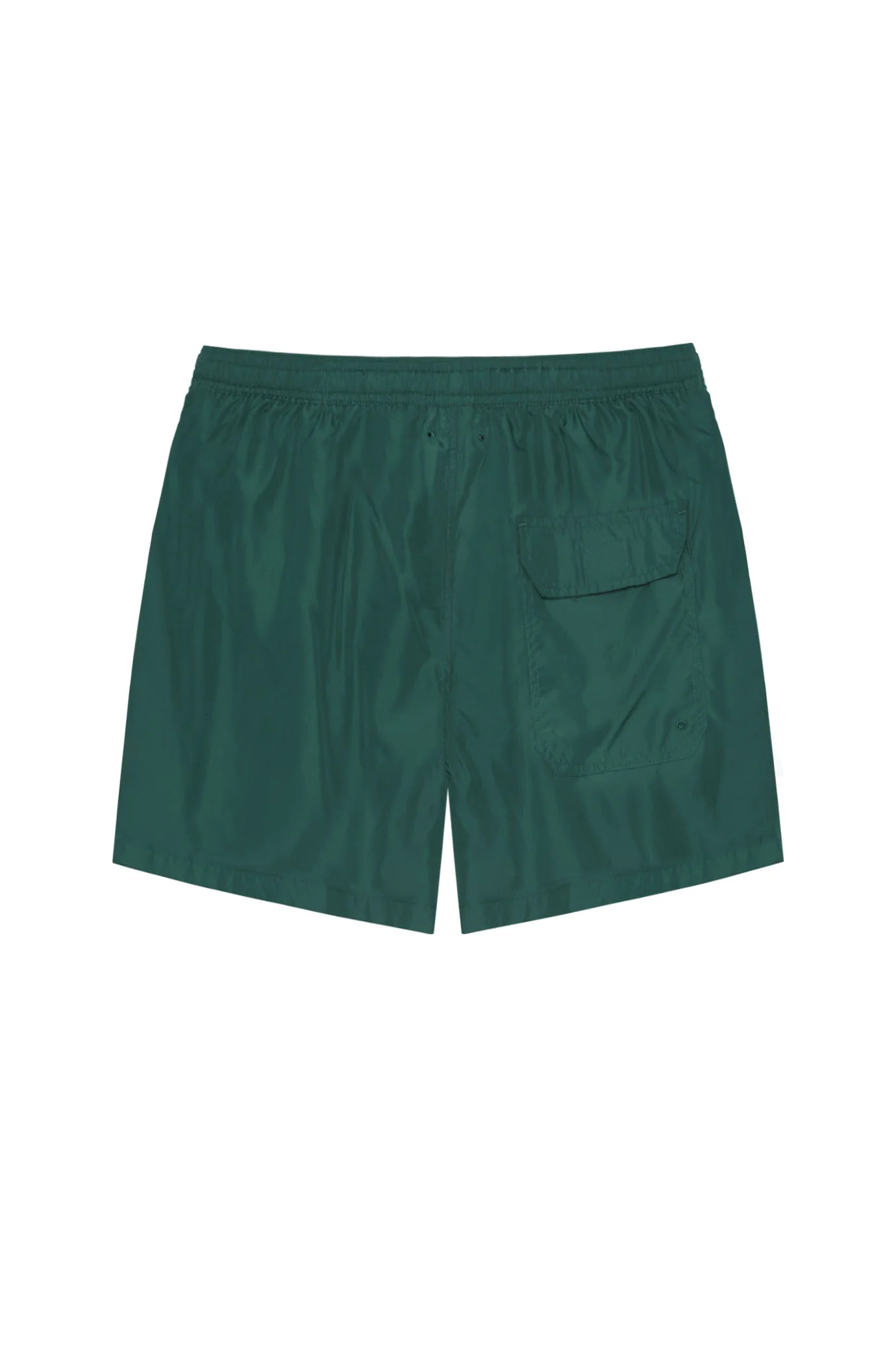 Boxer mare SJ - Image 6